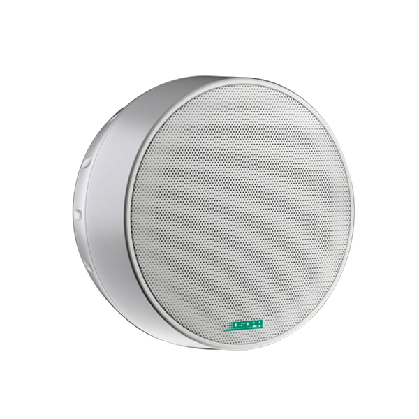 dsp5311--surface-mount-ceiling-speaker