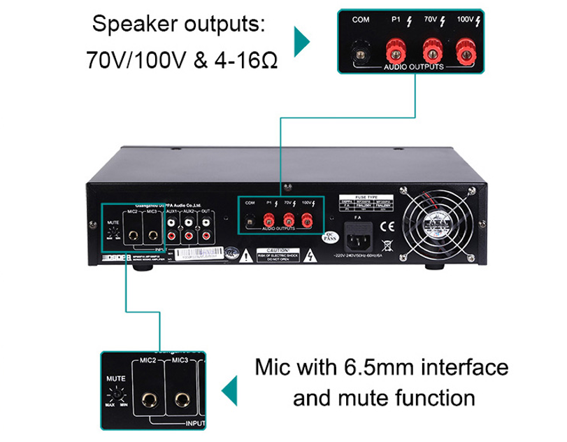 dsppa200piii-rear-layout